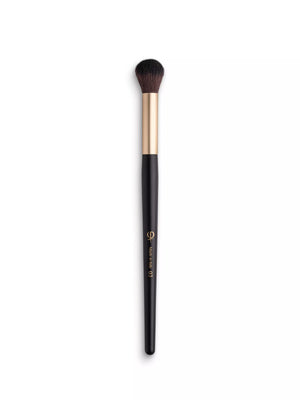 PhiNesse Brush Highlighter 3