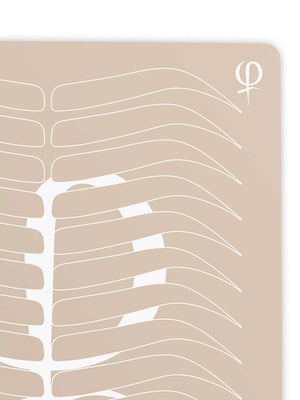 Practising Latex printed shape and outlines 3pcs